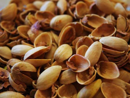 Pistachio-Shell